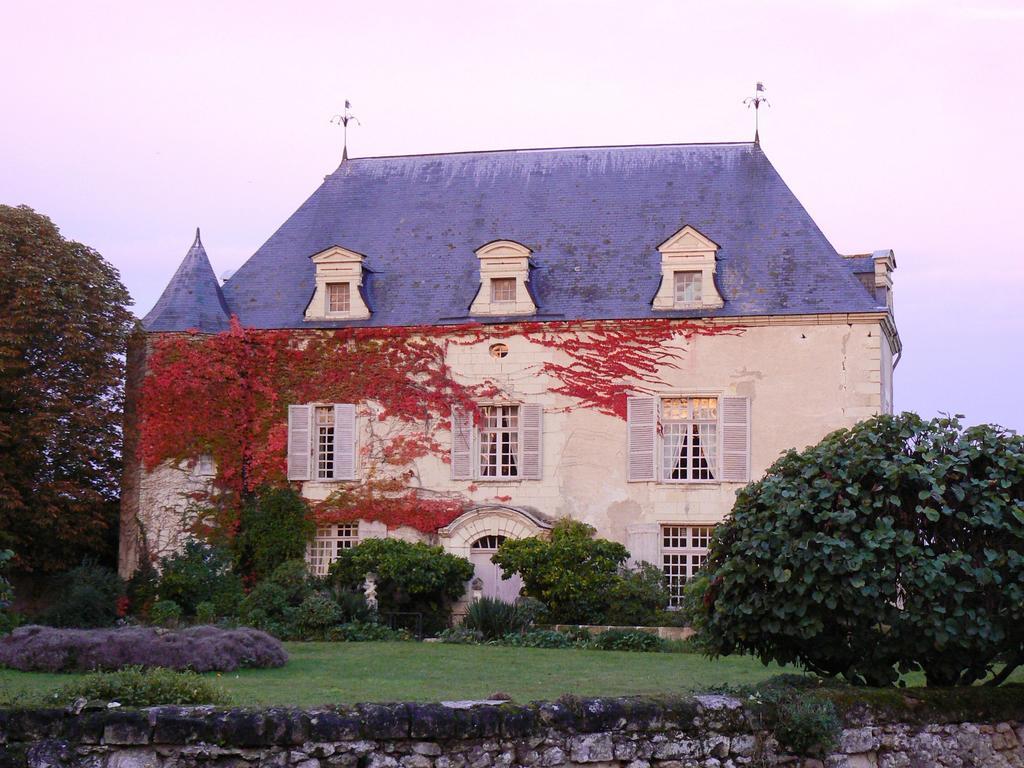 Gite Chateau De Chaintres Dampierre-sur-Loire Pokój zdjęcie