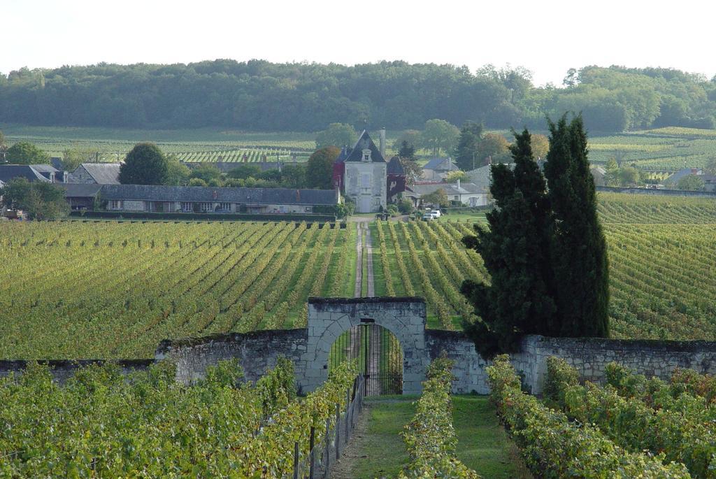 Gite Chateau De Chaintres Dampierre-sur-Loire Pokój zdjęcie